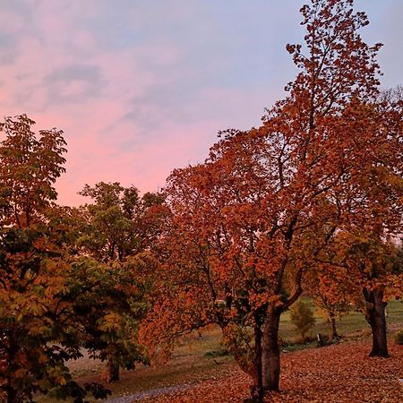 Joensuun Tilan Paeaerakennus Bed & Breakfast Soderkulla  Dış mekan fotoğraf