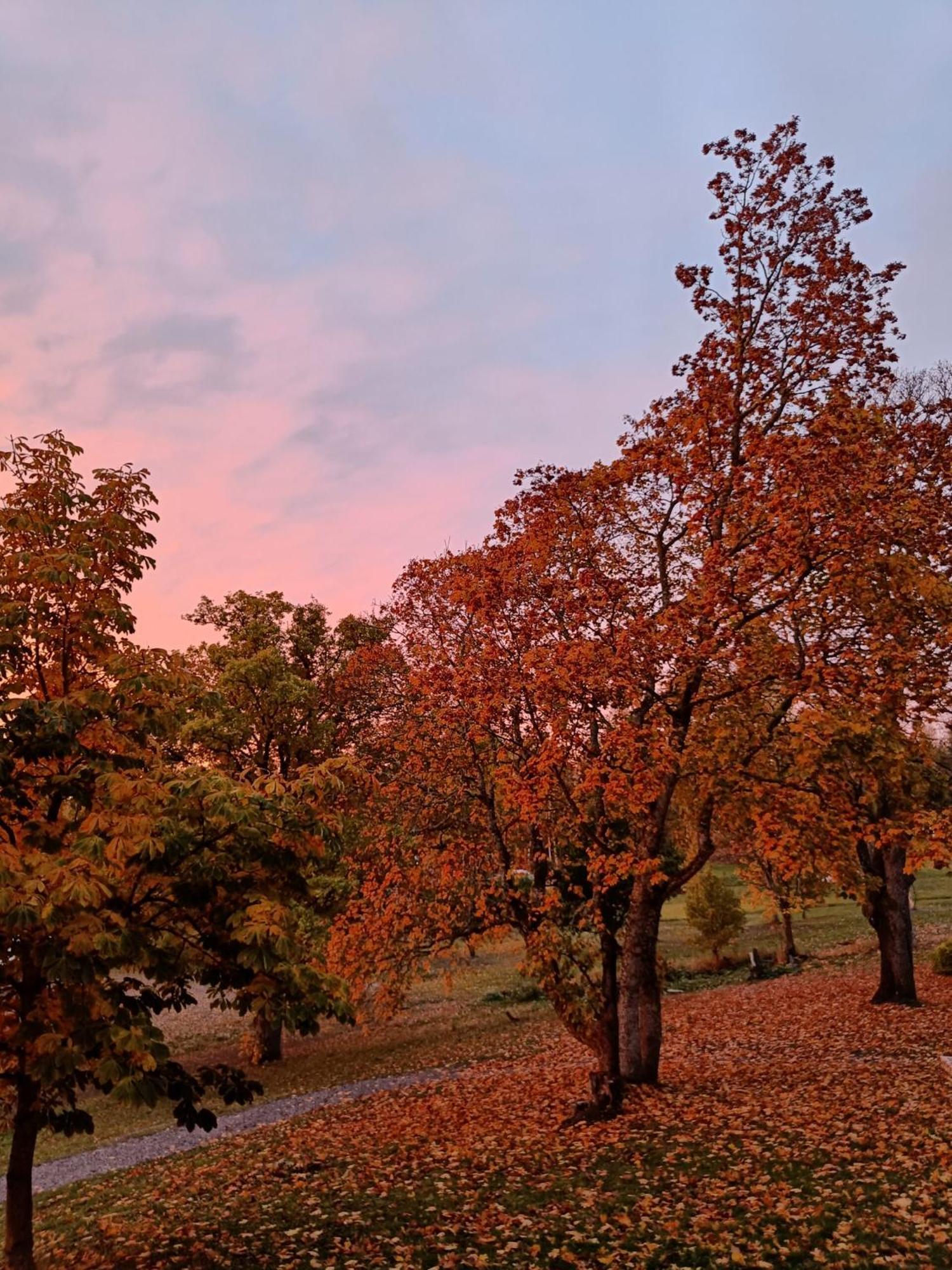 Joensuun Tilan Paeaerakennus Bed & Breakfast Soderkulla  Dış mekan fotoğraf